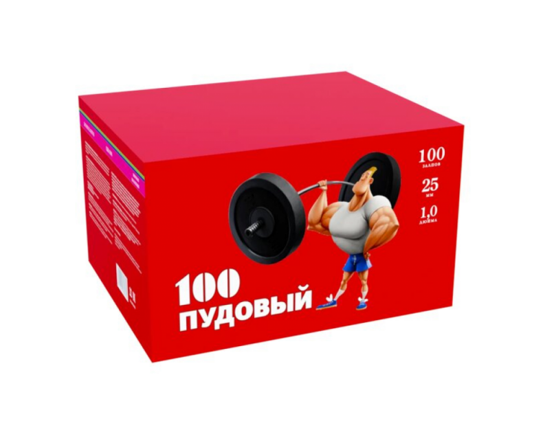 Батарея салютов 100пудовый СБМ-1008 (1*100)